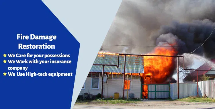 #bslide2 logo-image - Banner-2